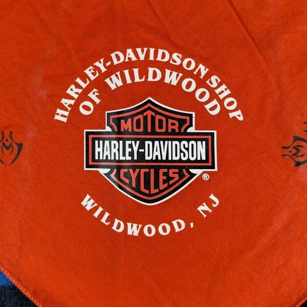 Y2K 04 VTG Harley-Davidson Spider and Web Bandana